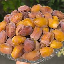 خرما کبکاب دشتستان سبدی